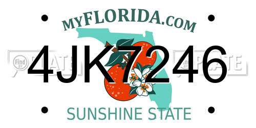 4JK7246 Florida License Plate