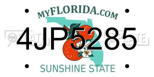 4JP5285 Florida License Plate