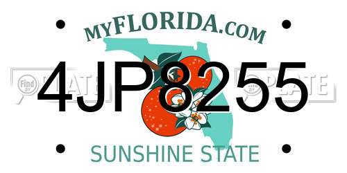 4JP8255 Florida License Plate