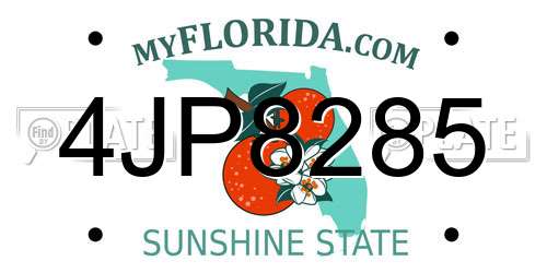 4JP8285 Florida License Plate