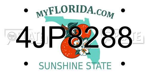 4JP8288 Florida License Plate