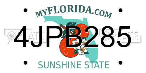 4JPB285 Florida License Plate