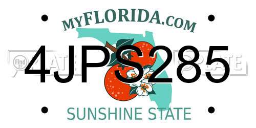 4JPS285 Florida License Plate