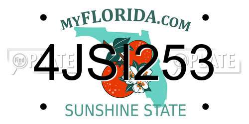 4JSI253 Florida License Plate