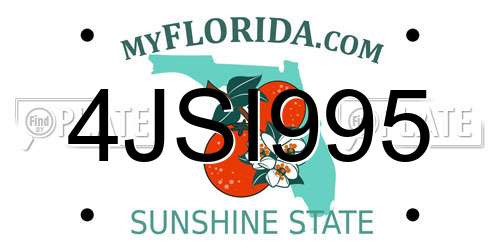 4JSI995 Florida License Plate