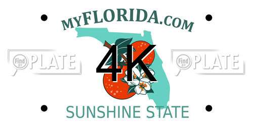 4K Florida License Plate
