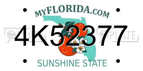 4K52377 Florida License Plate