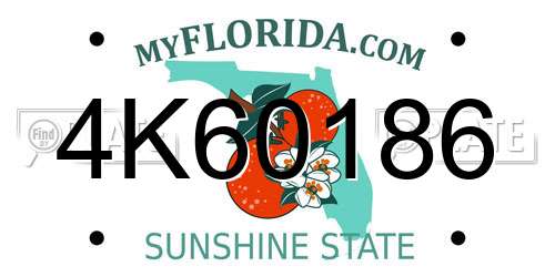 4K60186 Florida License Plate