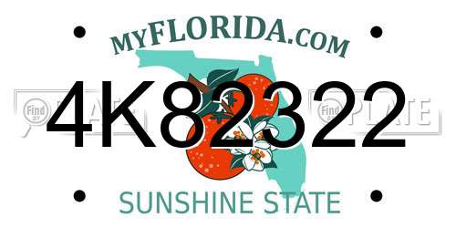 4K82322 Florida License Plate
