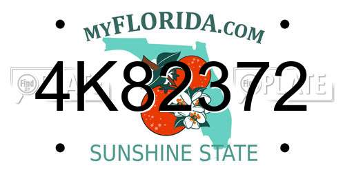 4K82372 Florida License Plate