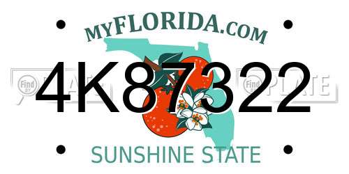 4K87322 Florida License Plate