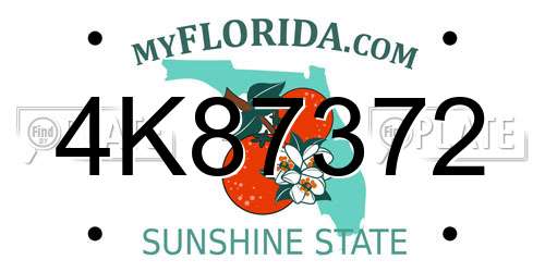 4K87372 Florida License Plate