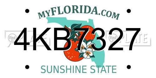 4KB7327 Florida License Plate