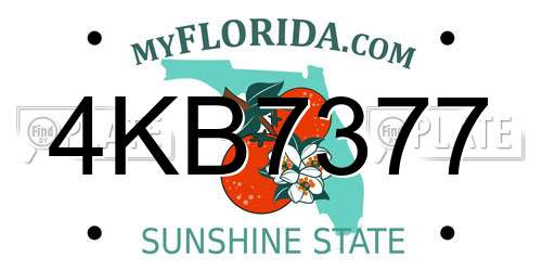 4KB7377 Florida License Plate