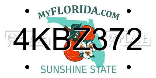 4KBZ372 Florida License Plate