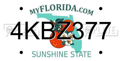 4KBZ377 Florida License Plate