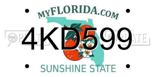 4KD599 Florida License Plate