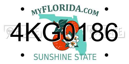 4KG0186 Florida License Plate
