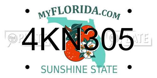 4KN305 Florida License Plate