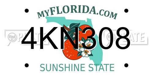 4KN308 Florida License Plate