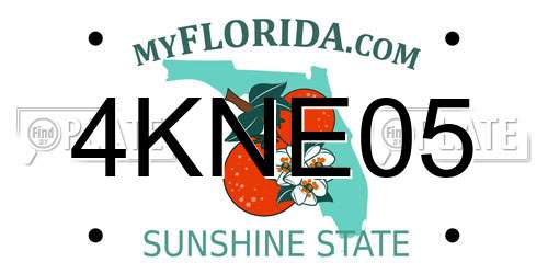 4KNE05 Florida License Plate