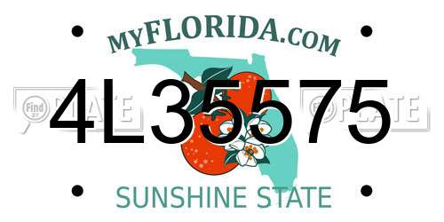 4L35575 Florida License Plate