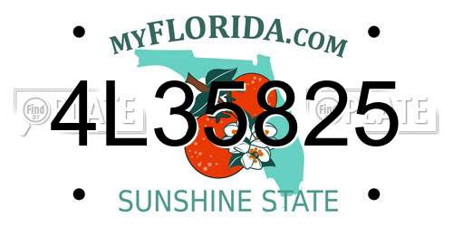 4L35825 Florida License Plate