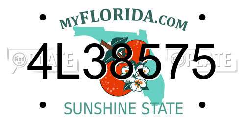 4L38575 Florida License Plate