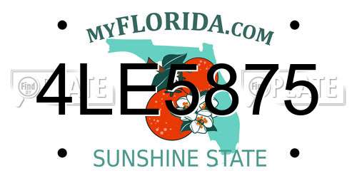 4LE5875 Florida License Plate