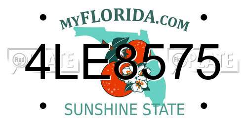 4LE8575 Florida License Plate