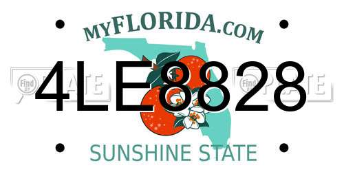 4LE8828 Florida License Plate