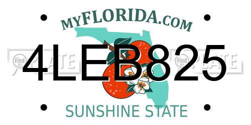 4LEB825 Florida License Plate