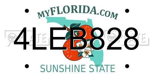 4LEB828 Florida License Plate