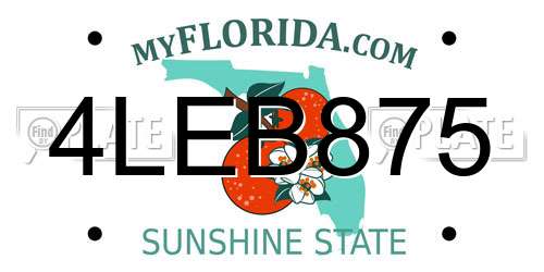 4LEB875 Florida License Plate