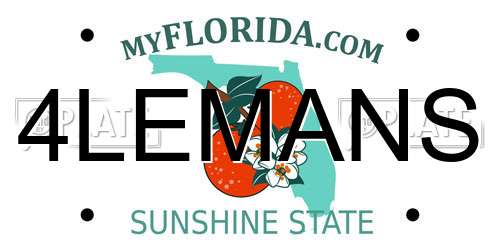 4LEMANS Florida License Plate