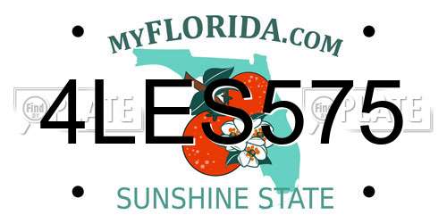 4LES575 Florida License Plate