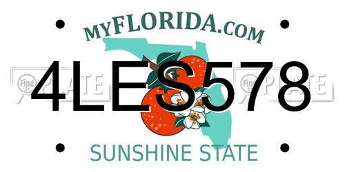 4LES578 Florida License Plate