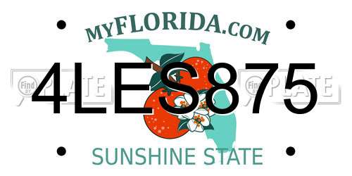 4LES875 Florida License Plate