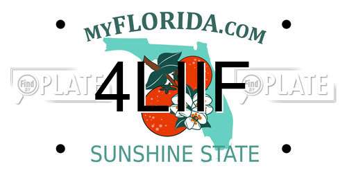 4LIIF Florida License Plate
