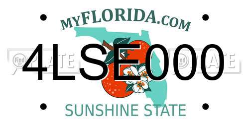 4LSE000 Florida License Plate
