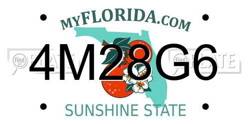 4M28G6 Florida License Plate