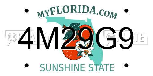 4M29G9 Florida License Plate