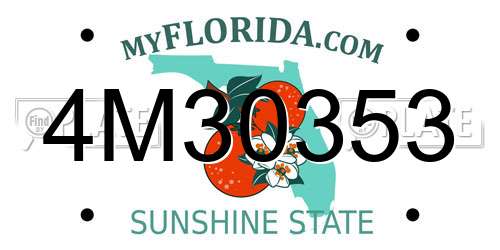 4M30353 Florida License Plate