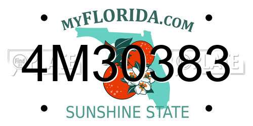 4M30383 Florida License Plate