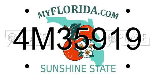 4M35919 Florida License Plate