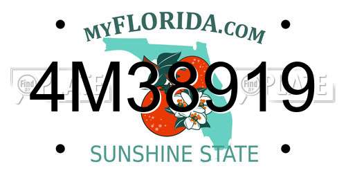4M38919 Florida License Plate