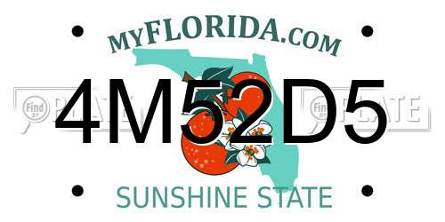 4M52D5 Florida License Plate
