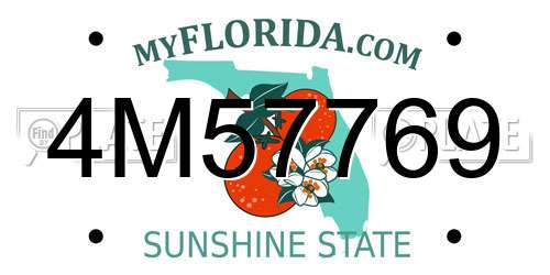 4M57769 Florida License Plate