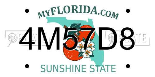 4M57D8 Florida License Plate