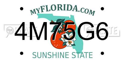 4M75G6 Florida License Plate